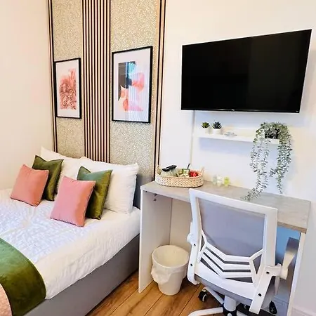 Apartment R3 Newly Renovated Luxury In Harborne Lane By Queen Elizabeth Hospital Birmingham